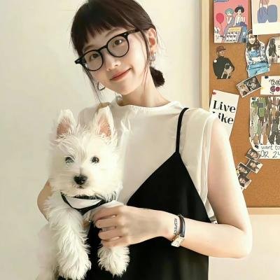 猪皮天堂 海报