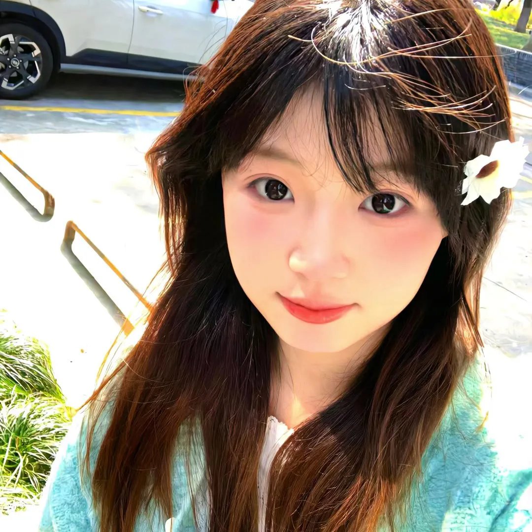 菊石 海报